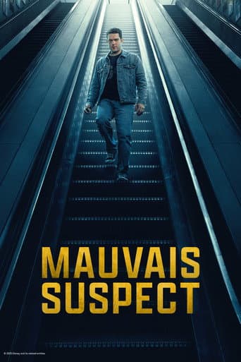 Affiche de série — Mauvais suspect