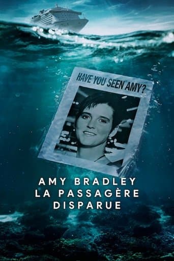 Affiche de série — Amy Bradley, la passagère disparue