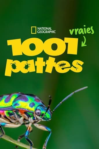 Affiche de série — 1001 vraies pattes