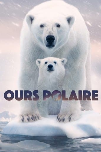 Affiche de film — Ours polaire