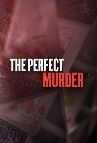 Affiche de série — The Perfect Murder