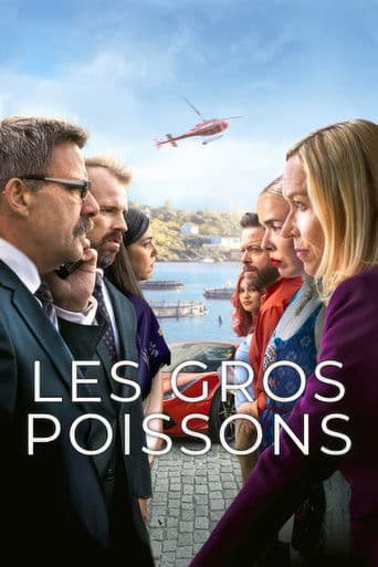 Affiche de série — Les Gros Poissons