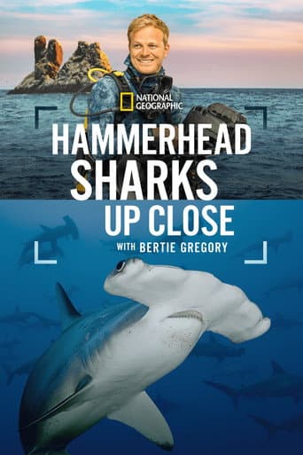 Au plus près des requins-marteaux avec Bertie Gregory