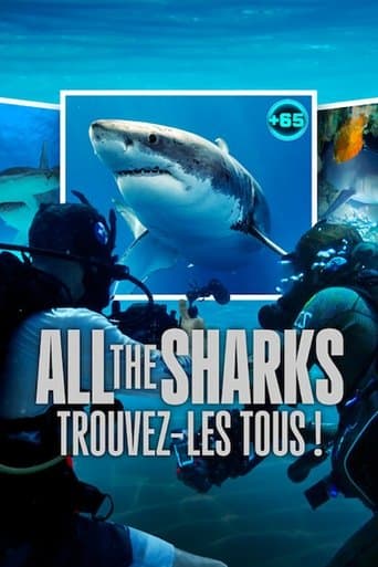 Affiche de série — All the Sharks : Trouvez-les tous !