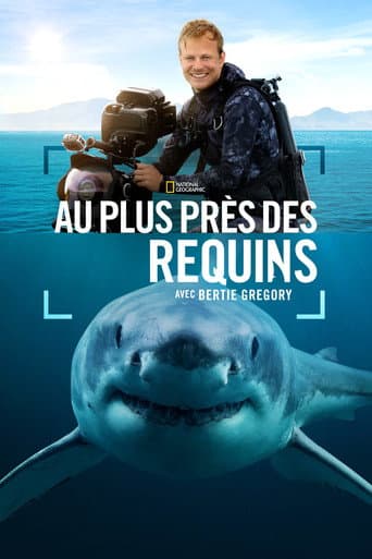 Affiche de film — Au plus près des requins avec Bertie Gregory