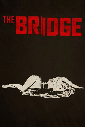 Affiche de série — The Bridge