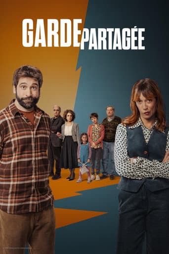 Affiche de série — Garde partagée
