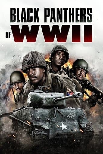 Affiche de film — Black Panthers of WWII