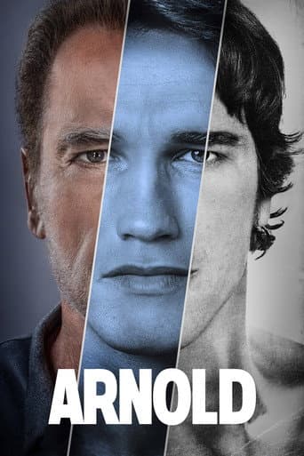 Affiche de série — Arnold