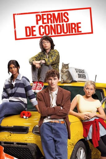 Affiche de film — Permis de Conduire