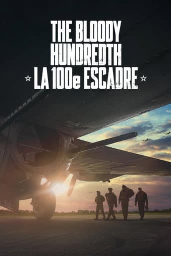 Affiche de film — The Bloody Hundredth : la 100e escadre
