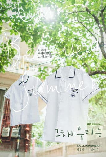 Affiche de série — Our Beloved Summer