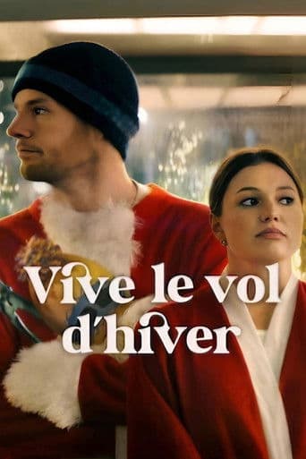 Affiche de film — Vive le vol d'hiver