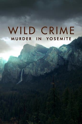 Affiche de série — Wild Crime