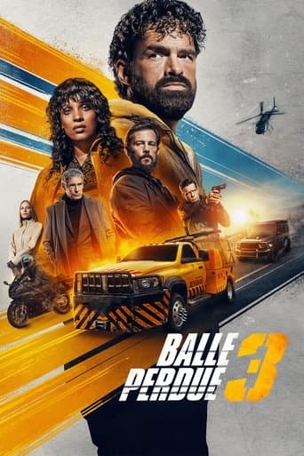 Affiche de film — Balle perdue 3
