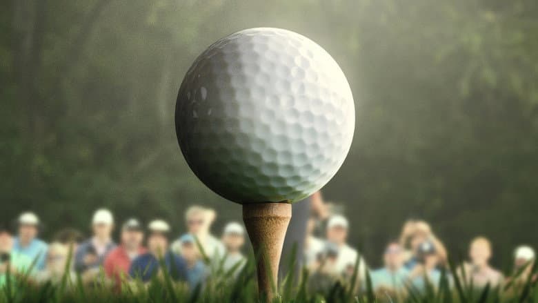 Image de Full Swing