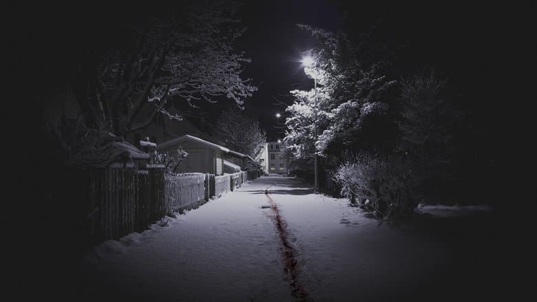 Image de Les Meurtres de Valhalla