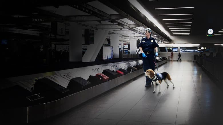 Image de Ultimate Airport USA