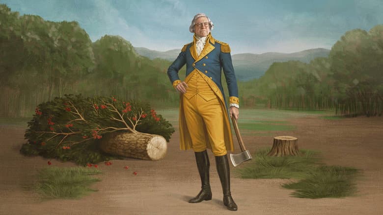 Image de Life, Larry and the Pursuit of Unhappiness: An Almost History of America