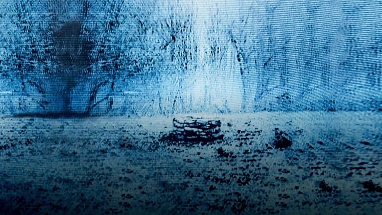 Image de Le Cercle : The Ring