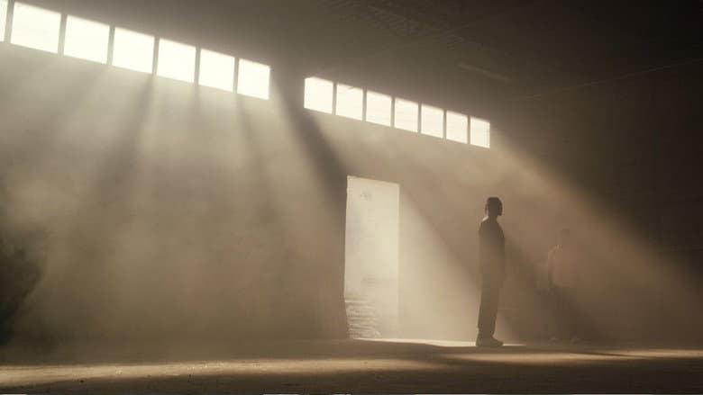 Image de WHO