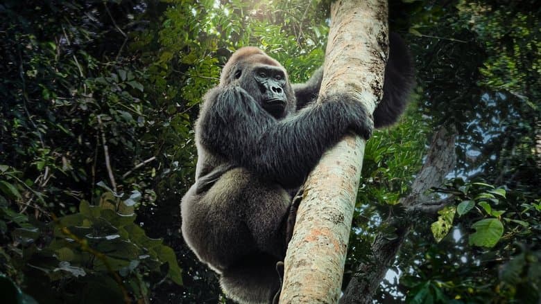 Image de Big Beasts : sur les traces des géants
