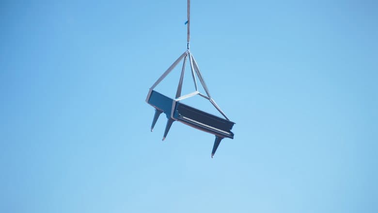 Image de L'Accident de Piano
