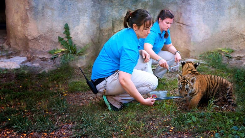 Image de Au cœur du zoo