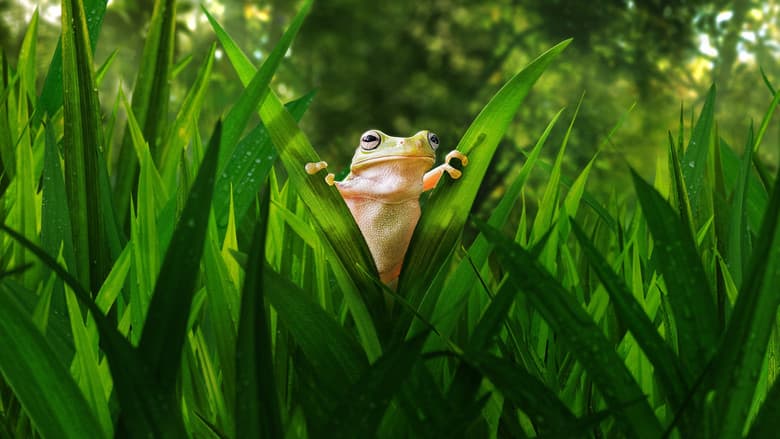 Image de Tiny World
