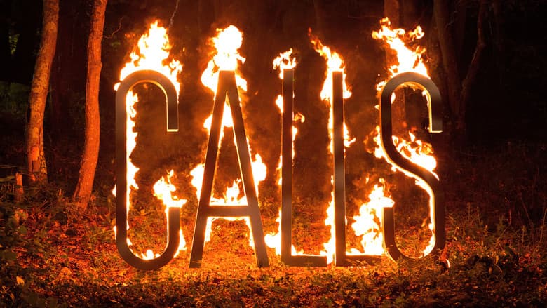 Image de Calls
