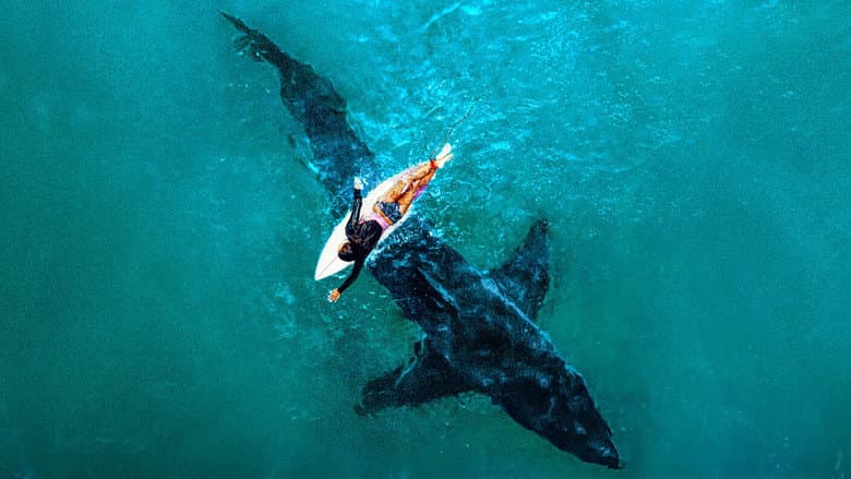 Image de Shark Week