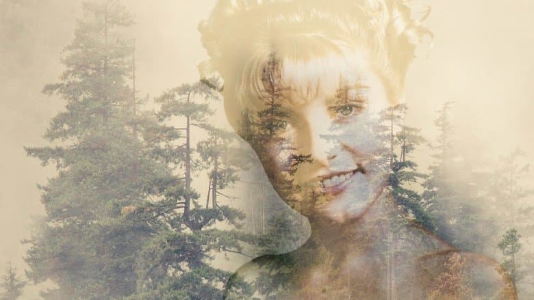 Image de Twin Peaks