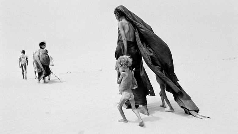 Image de Le Sel de la Terre