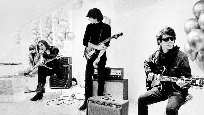 Image de The Velvet Underground