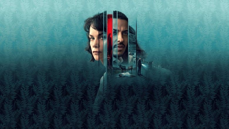 Image de The Woman in the Wall