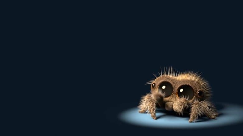 Image de Lucas l'araignée