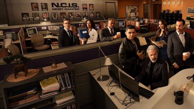 Image de NCIS : Enquêtes Spéciales