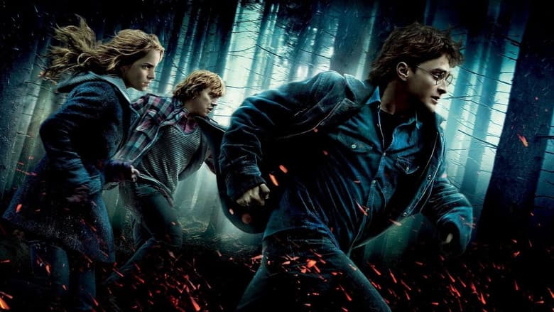 Image de Harry Potter et les Reliques de la Mort - 1ère partie