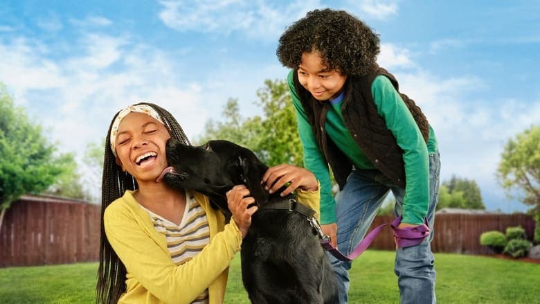 Image de Mission : adoption
