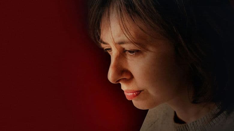 Image de L'affaire Laura Stern