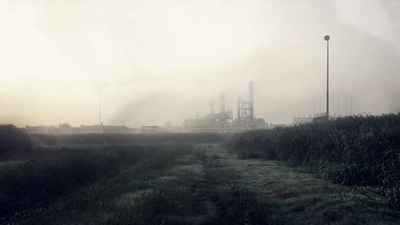 Image de True Detective