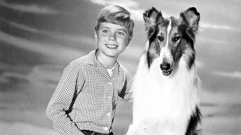Image de Lassie