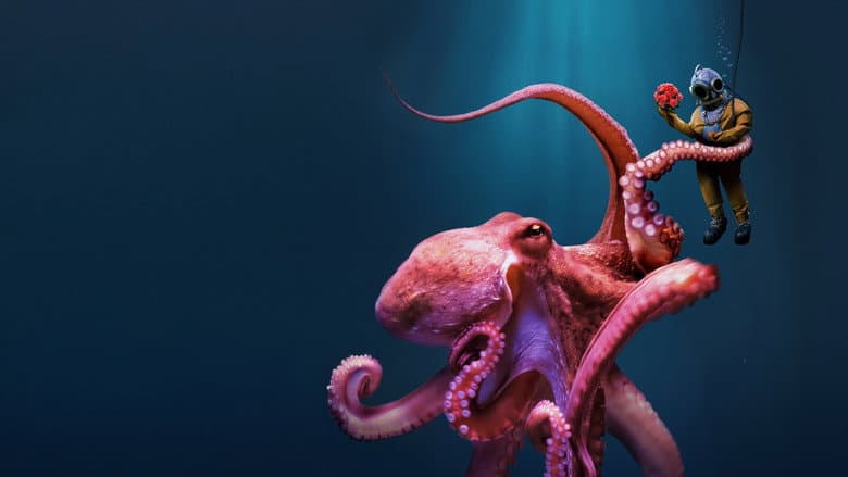 Image de Octopus!