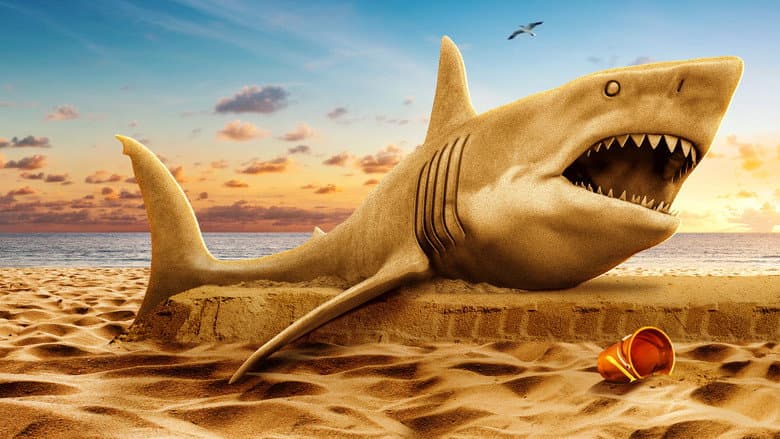 Image de Shark Week