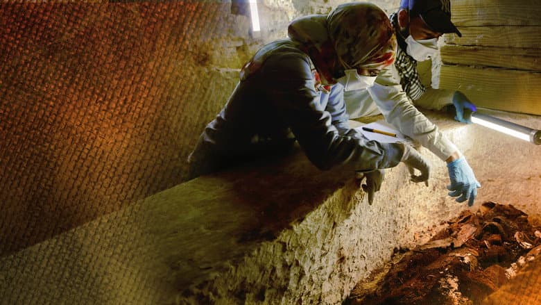 Image de Kingdom of the Mummies
