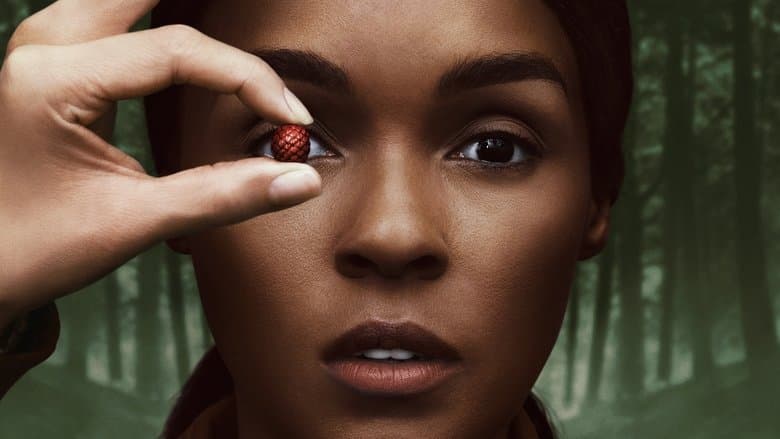Image de Homecoming