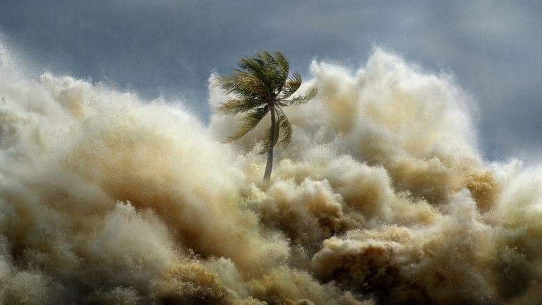 Image de Tsunami 2004 : La Vague Mortelle