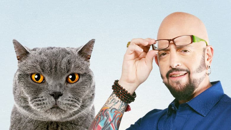 Image de Hell's cat : Mon chat est un cauchemar