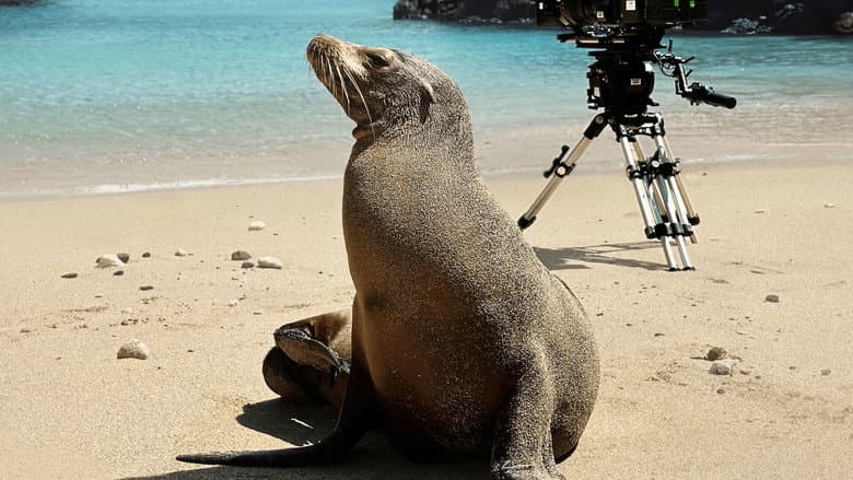 Image de Guardians of the Galapagos