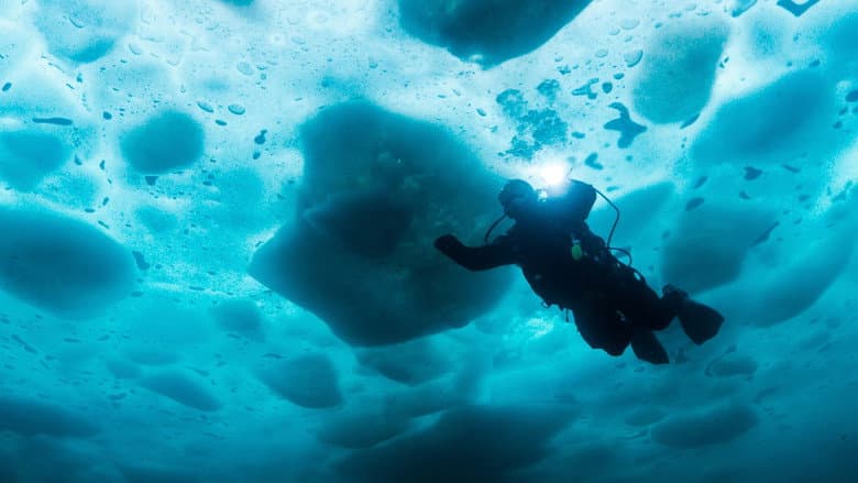 Image de Pêcheurs d'or : Sous la glace